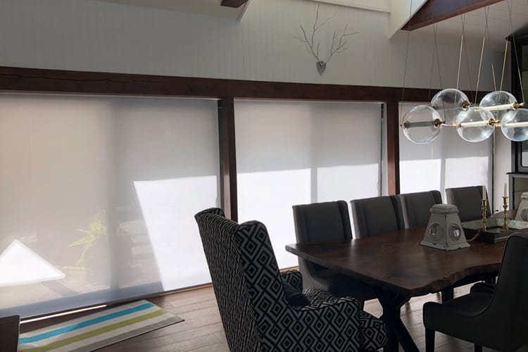 Roller Shade Window Blinds